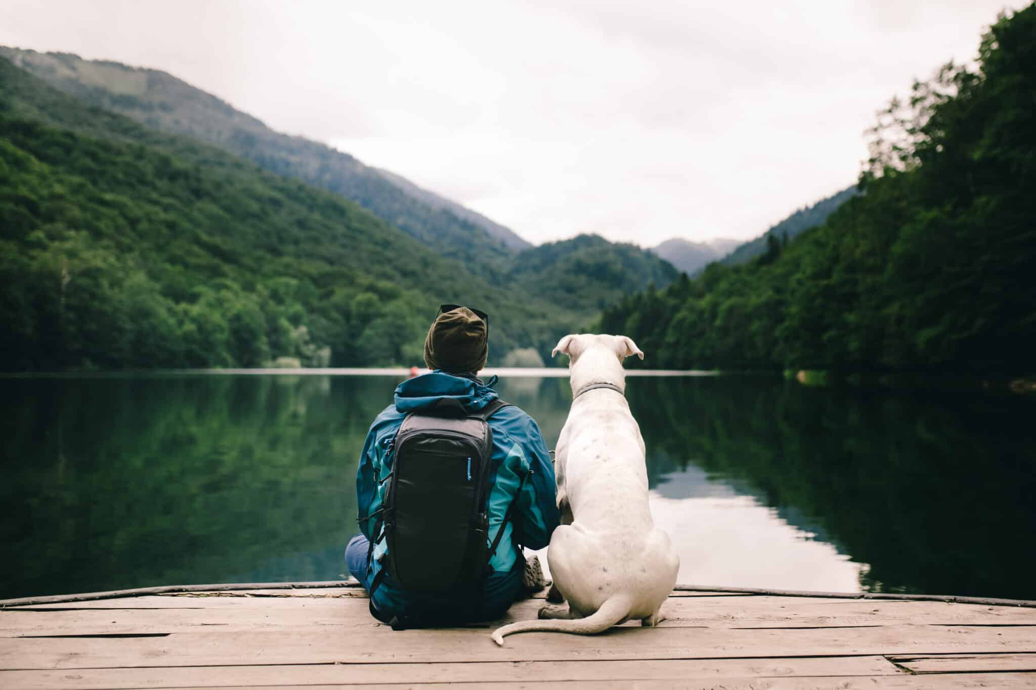 im Urlaub mit dem Hund